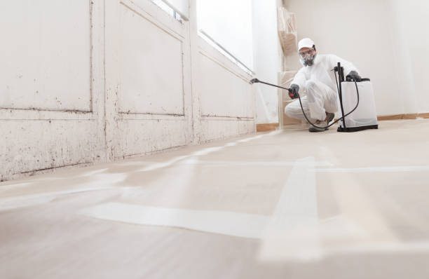 24/7 Emergency Mold Remediation experts in Danville, IL